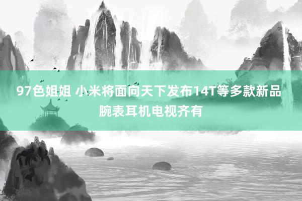 97色姐姐 小米将面向天下发布14T等多款新品 腕表耳机电视齐有