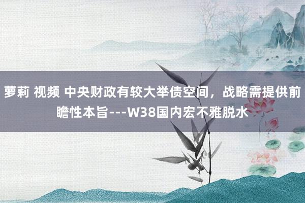 萝莉 视频 中央财政有较大举债空间,战略需提供前瞻性本旨---W38国内宏不雅脱水