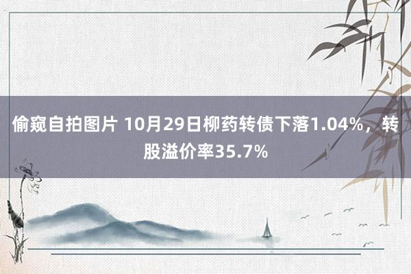 偷窥自拍图片 10月29日柳药转债下落1.04%,转股溢价率35.7%