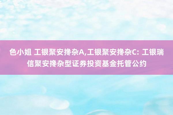 色小姐 工银聚安搀杂A,工银聚安搀杂C: 工银瑞信聚安搀杂型证券投资基金托管公约