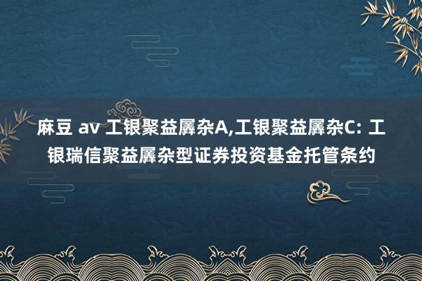 麻豆 av 工银聚益羼杂A,工银聚益羼杂C: 工银瑞信聚益羼杂型证券投资基金托管条约