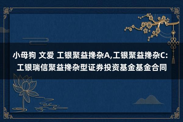 小母狗 文爱 工银聚益搀杂A,工银聚益搀杂C: 工银瑞信聚益搀杂型证券投资基金基金合同