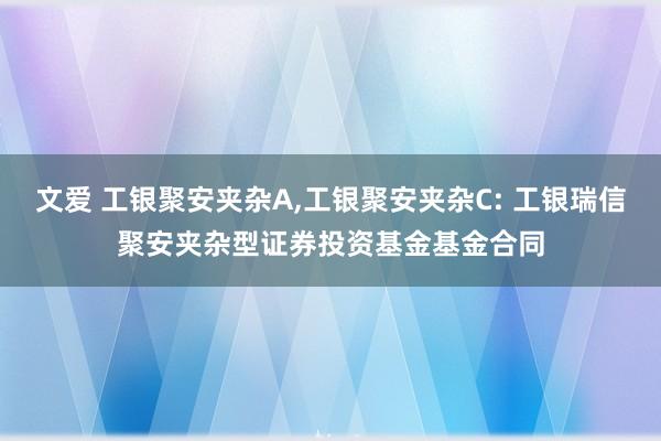 文爱 工银聚安夹杂A,工银聚安夹杂C: 工银瑞信聚安夹杂型证券投资基金基金合同