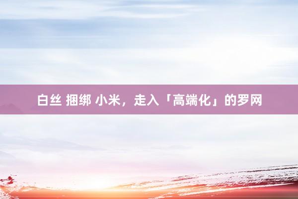 白丝 捆绑 小米，走入「高端化」的罗网