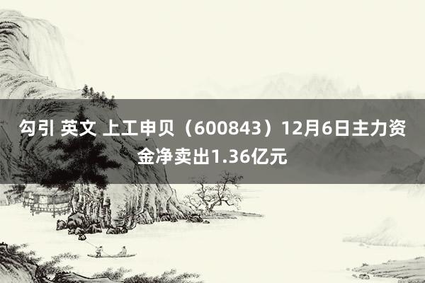 勾引 英文 上工申贝（600843）12月6日主力资金净卖出1.36亿元