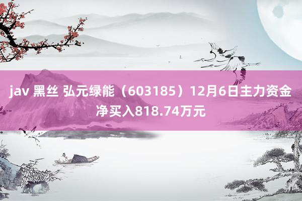 jav 黑丝 弘元绿能（603185）12月6日主力资金净买入818.74万元