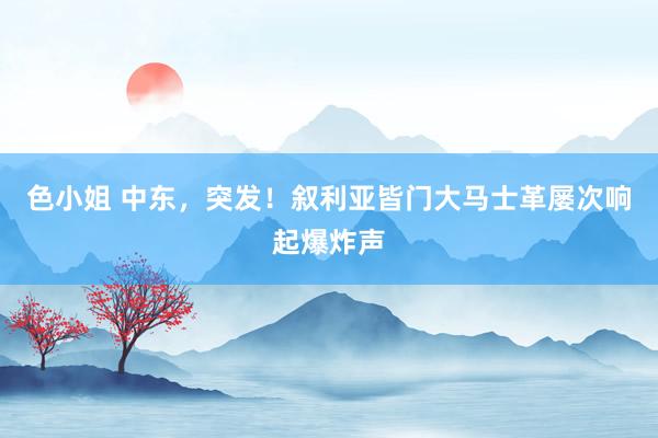 色小姐 中东，突发！叙利亚皆门大马士革屡次响起爆炸声