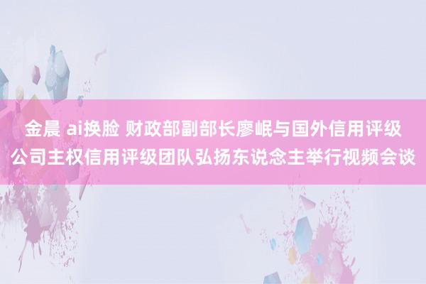 金晨 ai换脸 财政部副部长廖岷与国外信用评级公司主权信用评级团队弘扬东说念主举行视频会谈