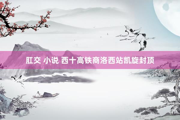 肛交 小说 西十高铁商洛西站凯旋封顶
