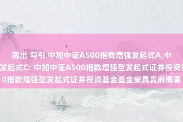 露出 勾引 中加中证A500指数增强发起式A,中加中证A500指数增强发起式C: 中加中证A500指数增强型发起式证券投资基金基金家具贵府概要