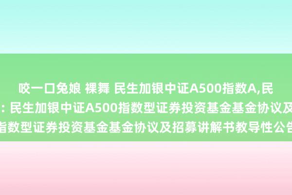 咬一口兔娘 裸舞 民生加银中证A500指数A,民生加银中证A500指数C: 民生加银中证A500指数型证券投资基金基金协议及招募讲解书教导性公告