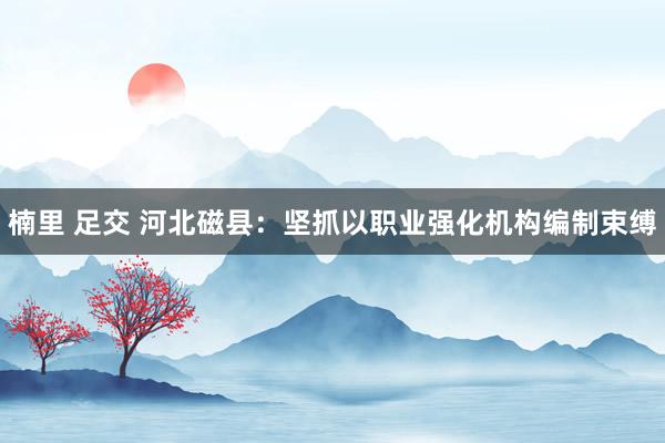 楠里 足交 河北磁县：坚抓以职业强化机构编制束缚