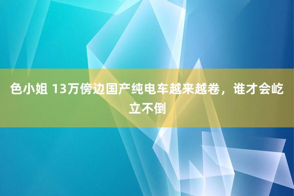 色小姐 13万傍边国产纯电车越来越卷，谁才会屹立不倒