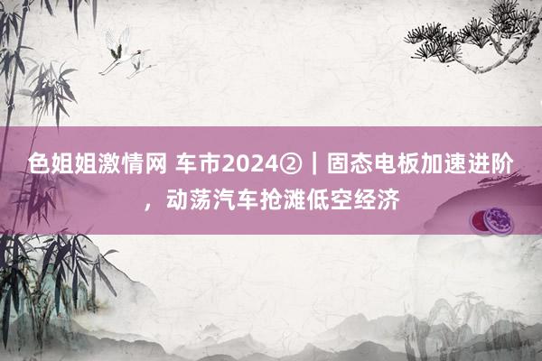 色姐姐激情网 车市2024②｜固态电板加速进阶，动荡汽车抢滩低空经济