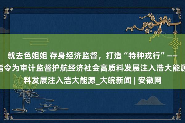 就去色姐姐 存身经济监督，打造“特种戎行”——习近平总秘书伏击指令为审计监督护航经济社会高质料发展注入浩大能源_大皖新闻 | 安徽网