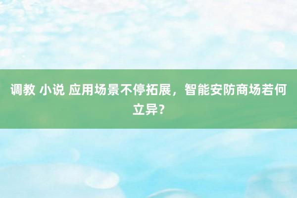 调教 小说 应用场景不停拓展，智能安防商场若何立异？