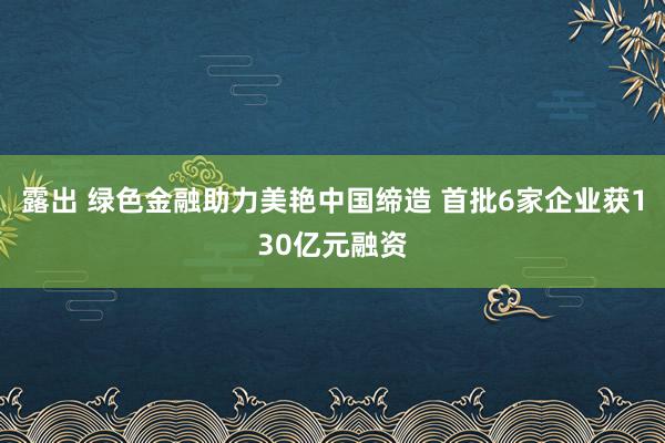 露出 绿色金融助力美艳中国缔造 首批6家企业获130亿元融资