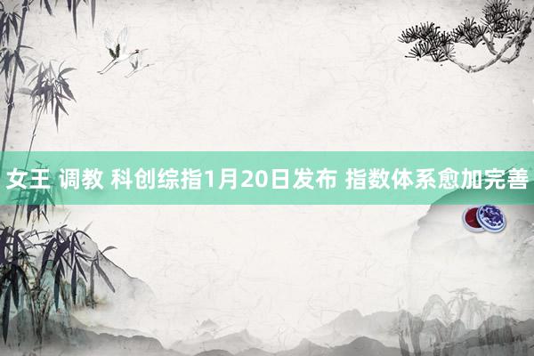 女王 调教 科创综指1月20日发布 指数体系愈加完善