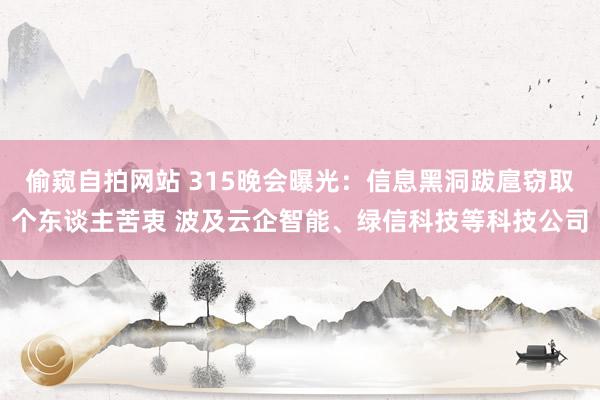 偷窥自拍网站 315晚会曝光：信息黑洞跋扈窃取个东谈主苦衷 波及云企智能、绿信科技等科技公司