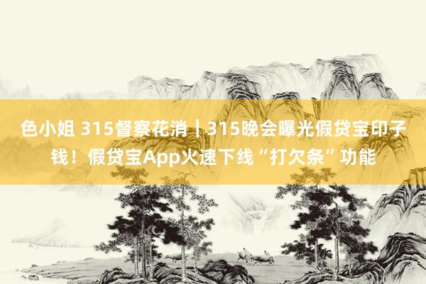 色小姐 315督察花消｜315晚会曝光假贷宝印子钱！假贷宝App火速下线“打欠条”功能