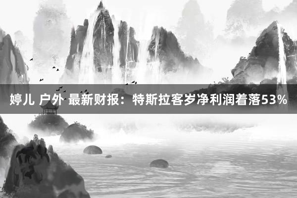 婷儿 户外 最新财报：特斯拉客岁净利润着落53%