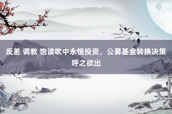 反差 调教 饱读吹中永恒投资，公募基金转换决策呼之欲出