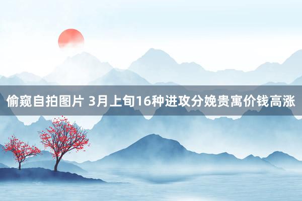 偷窥自拍图片 3月上旬16种进攻分娩贵寓价钱高涨