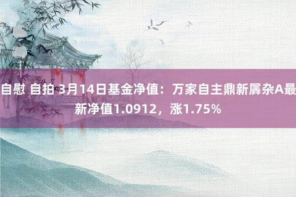 自慰 自拍 3月14日基金净值：万家自主鼎新羼杂A最新净值1.0912，涨1.75%