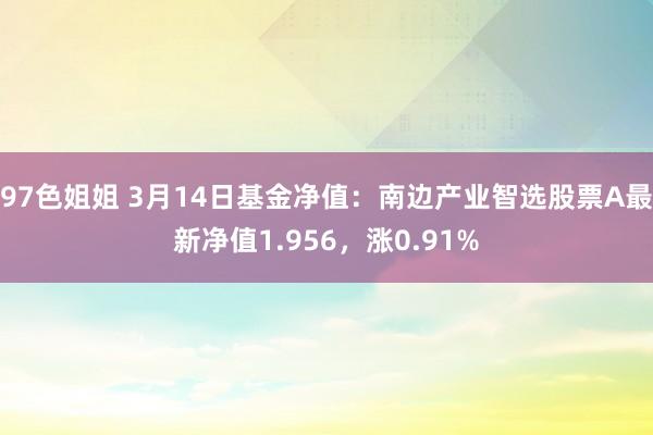 97色姐姐 3月14日基金净值：南边产业智选股票A最新净值1.956，涨0.91%