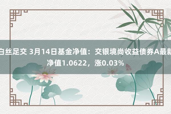 白丝足交 3月14日基金净值：交银境尚收益债券A最新净值1.0622，涨0.03%