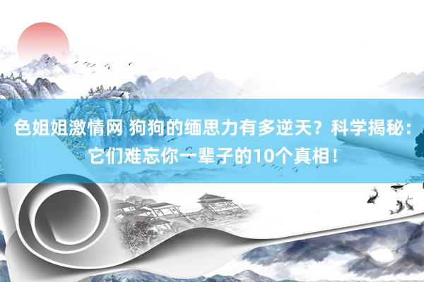 色姐姐激情网 狗狗的缅思力有多逆天？科学揭秘：它们难忘你一辈子的10个真相！