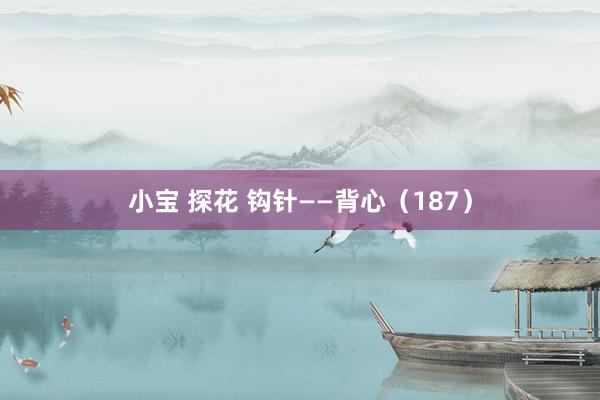 小宝 探花 钩针——背心（187）