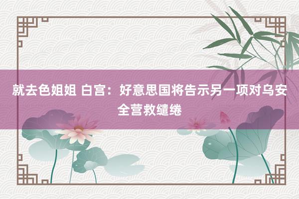 就去色姐姐 白宫：好意思国将告示另一项对乌安全营救缱绻