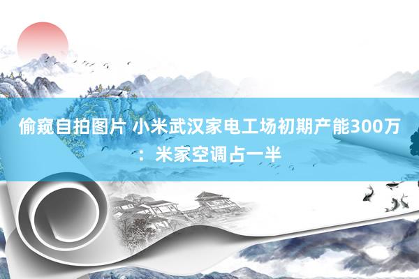 偷窥自拍图片 小米武汉家电工场初期产能300万：米家空调占一半