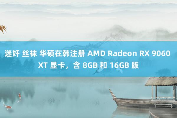 迷奸 丝袜 华硕在韩注册 AMD Radeon RX 9060 XT 显卡，含 8GB 和 16GB 版