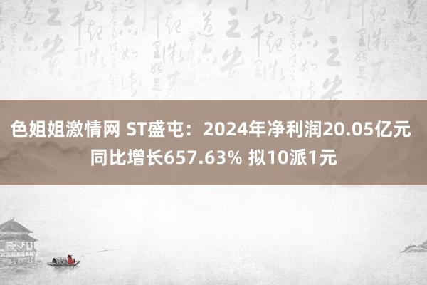 色姐姐激情网 ST盛屯：2024年净利润20.05亿元 同比增长657.63% 拟10派1元