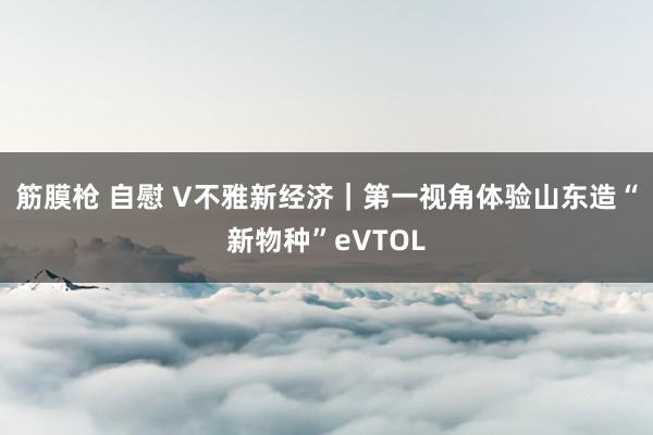 筋膜枪 自慰 V不雅新经济｜第一视角体验山东造“新物种”eVTOL