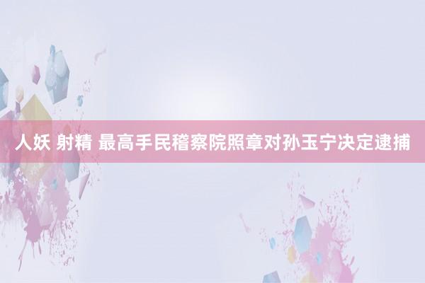 人妖 射精 最高手民稽察院照章对孙玉宁决定逮捕
