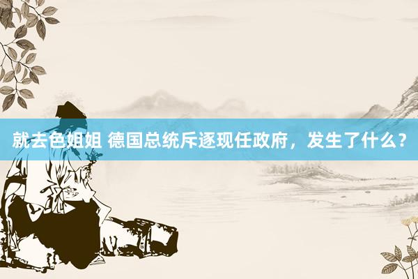 就去色姐姐 德国总统斥逐现任政府，发生了什么？