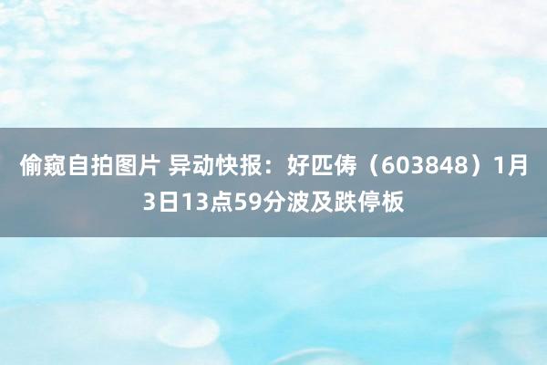 偷窥自拍图片 异动快报：好匹俦（603848）1月3日13点59分波及跌停板