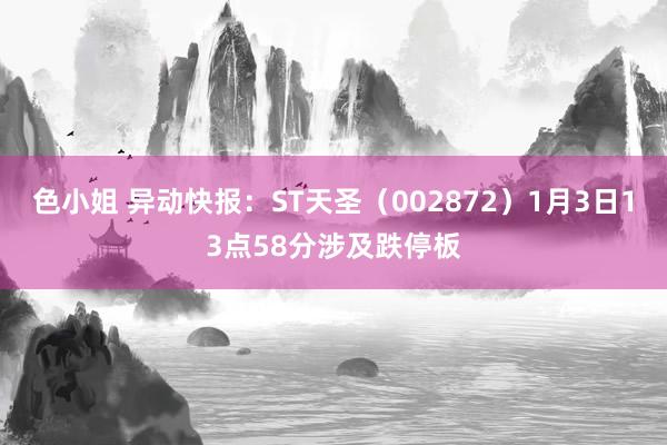 色小姐 异动快报：ST天圣（002872）1月3日13点58分涉及跌停板
