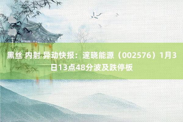 黑丝 内射 异动快报：邃晓能源（002576）1月3日13点48分波及跌停板