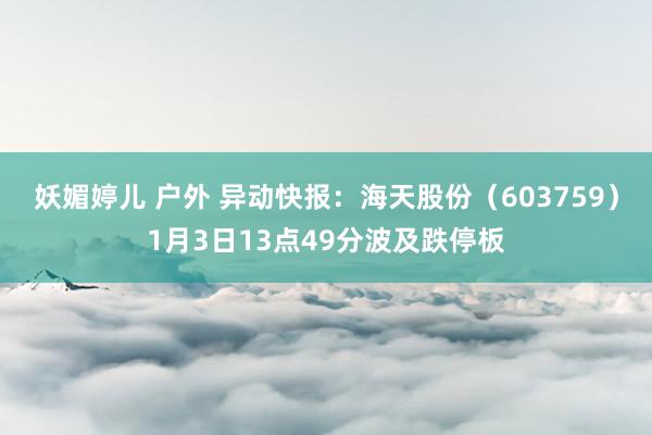 妖媚婷儿 户外 异动快报：海天股份（603759）1月3日13点49分波及跌停板
