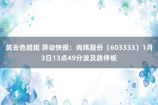 就去色姐姐 异动快报：尚纬股份（603333）1月3日13点49分波及跌停板