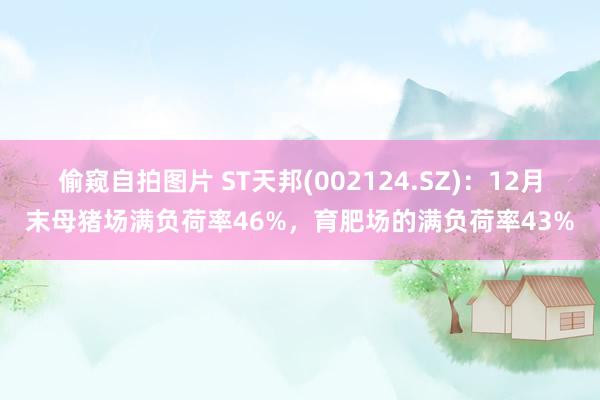偷窥自拍图片 ST天邦(002124.SZ)：12月末母猪场满负荷率46%，育肥场的满负荷率43%