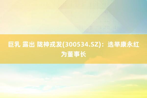 巨乳 露出 陇神戎发(300534.SZ)：选举康永红为董事长