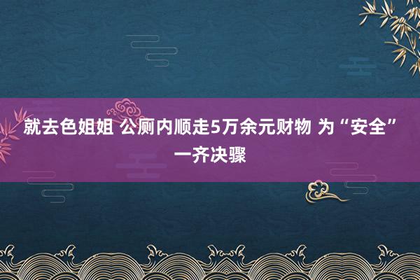 就去色姐姐 公厕内顺走5万余元财物 为“安全”一齐决骤