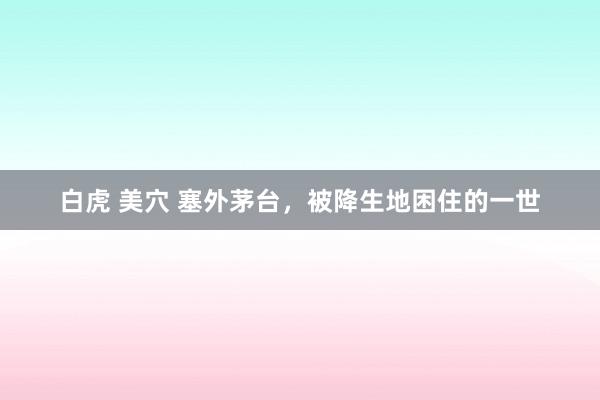 白虎 美穴 塞外茅台，被降生地困住的一世