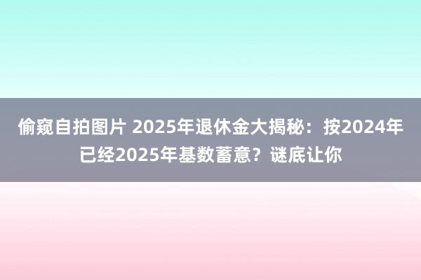 偷窥自拍图片 2025年退休金大揭秘：按2024年已经2025年基数蓄意？谜底让你