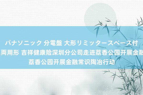 パナソニック 分電盤 大形リミッタースペース付 露出・半埋込両用形 吉祥健康险深圳分公司走进荔香公园开展金融常识陶冶行动